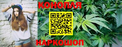 соль ск Гатчина