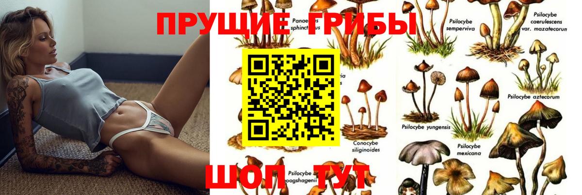 Нефтеюганск  Псилоцибиновые грибы ЛСД  Вход с VPN 